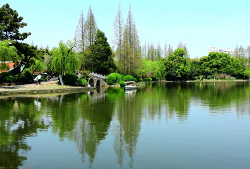 湖北乘云園藝有限公司