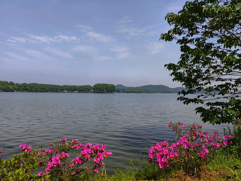 湖北在東湖之濱宣傳第十屆“世界野生動(dòng)植物日”